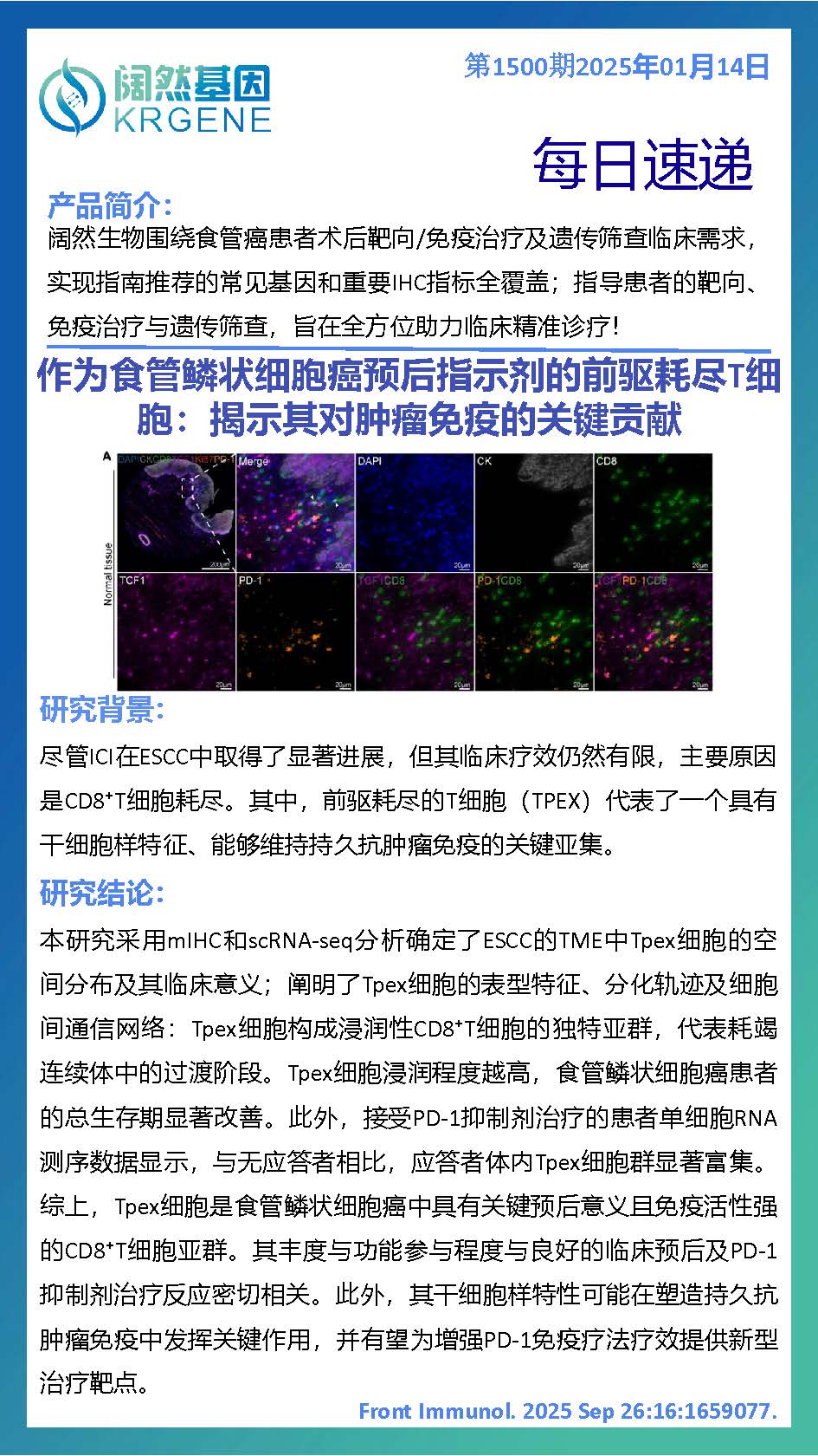 十大滚球体育app