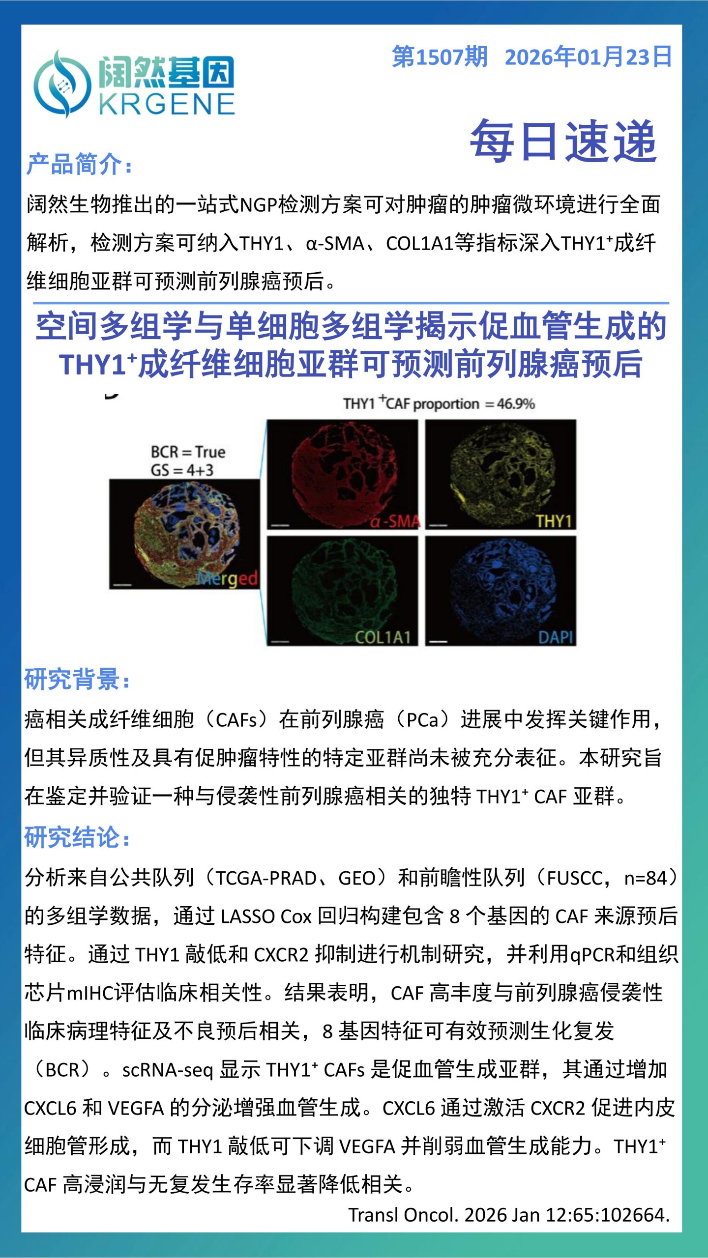 十大滚球体育app