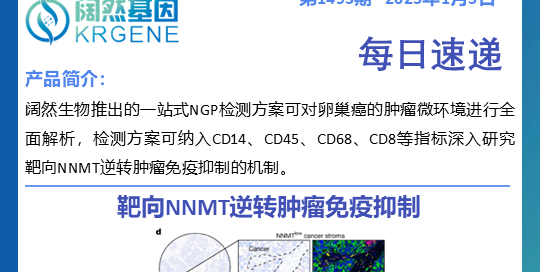 十大滚球体育app