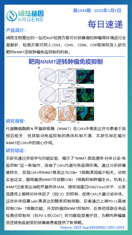 十大滚球体育app