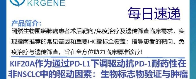 十大滚球体育app