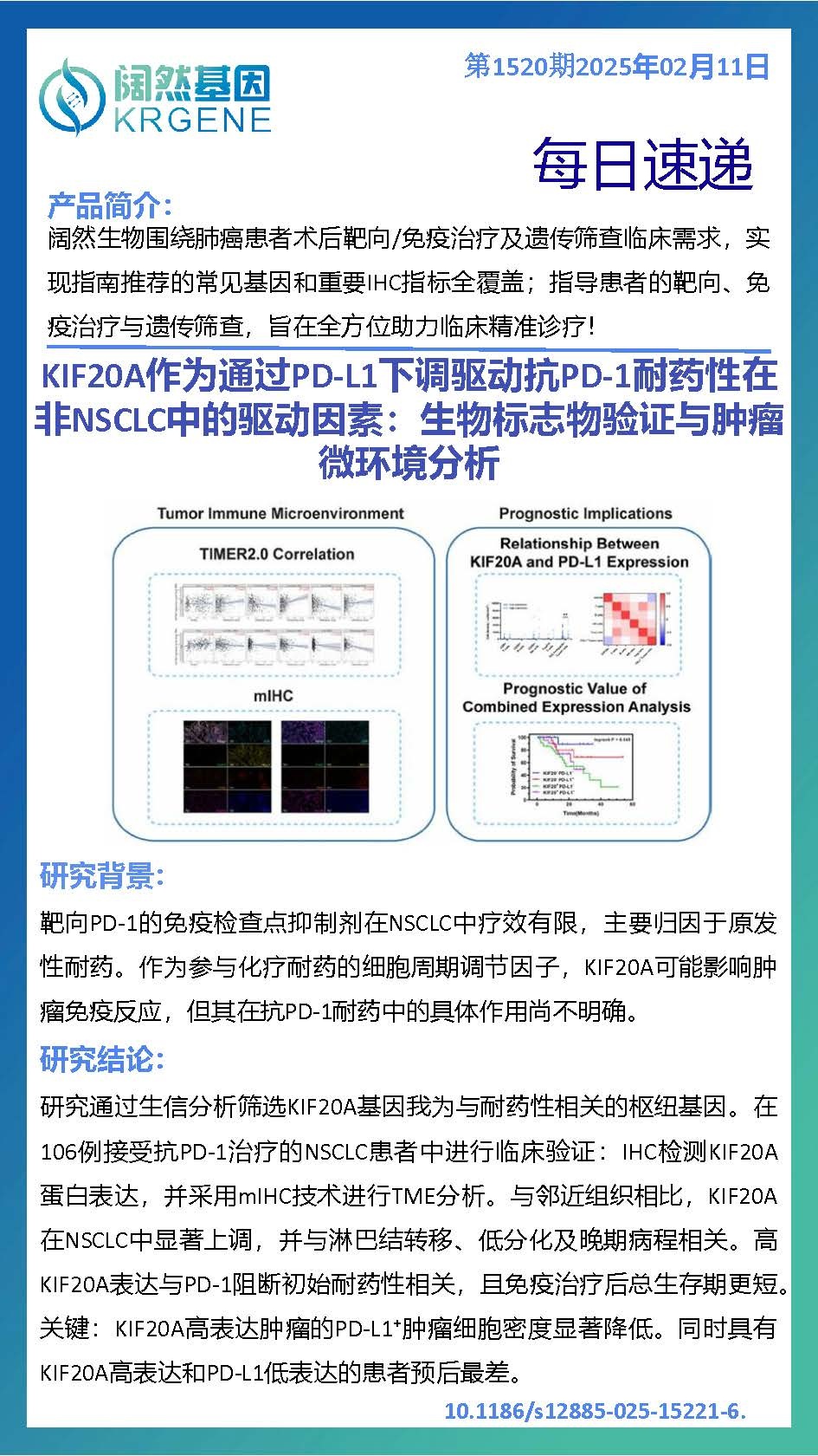 十大滚球体育app
