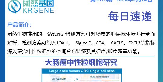 十大滚球体育app