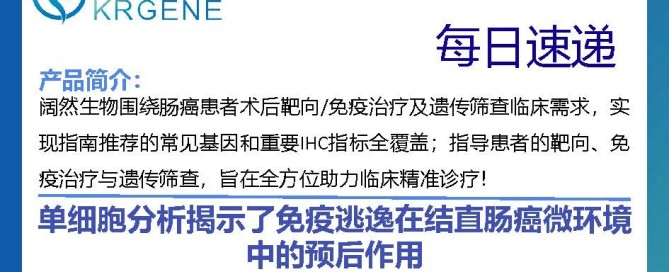 十大滚球体育app