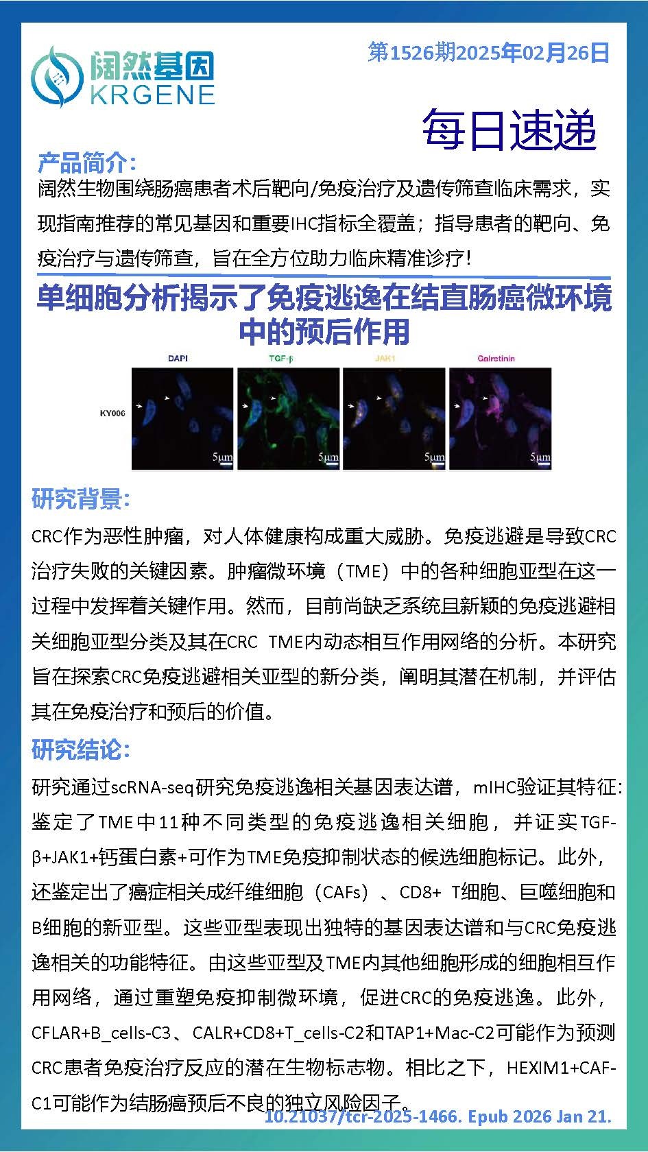 十大滚球体育app