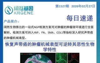 十大滚球体育app