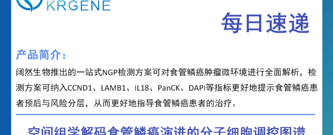 十大滚球体育app