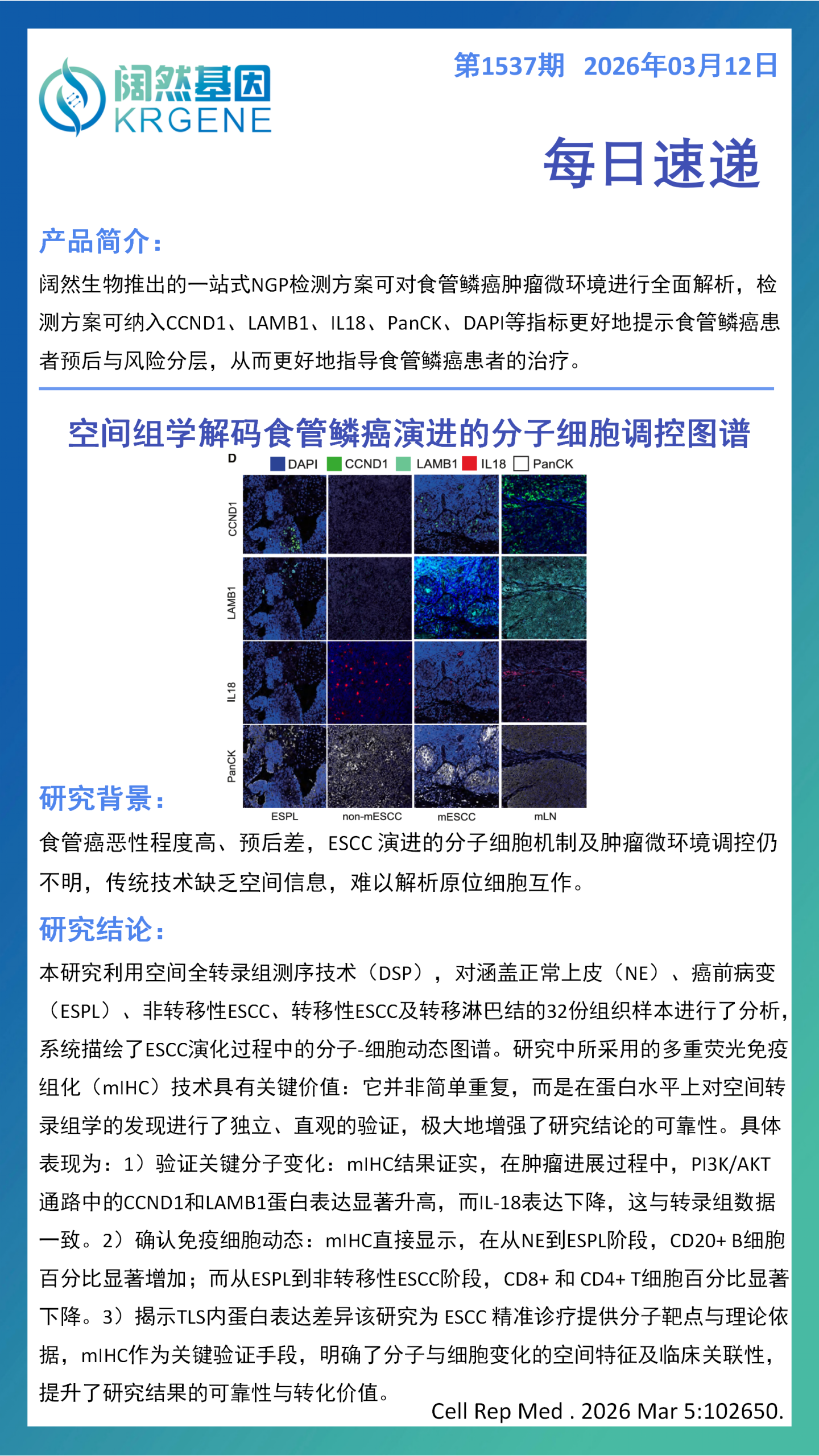 十大滚球体育app