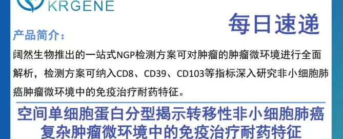 十大滚球体育app