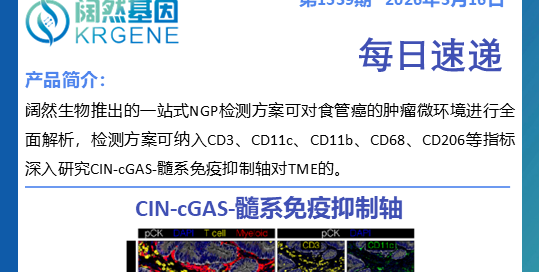 十大滚球体育app
