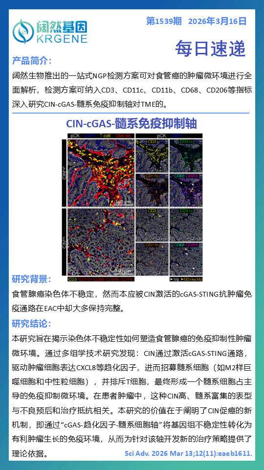 十大滚球体育app