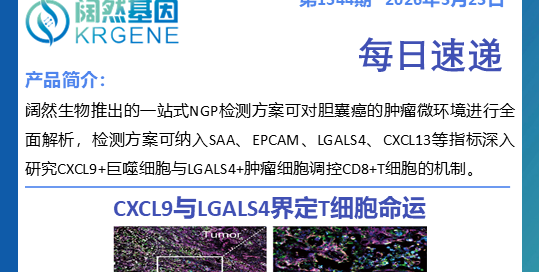 十大滚球体育app