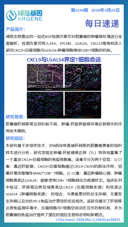 十大滚球体育app