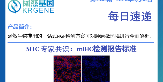 十大滚球体育app