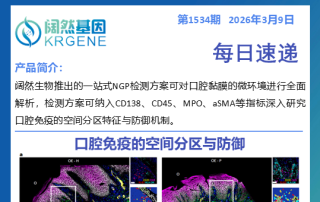 十大滚球体育app