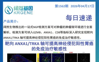 十大滚球体育app