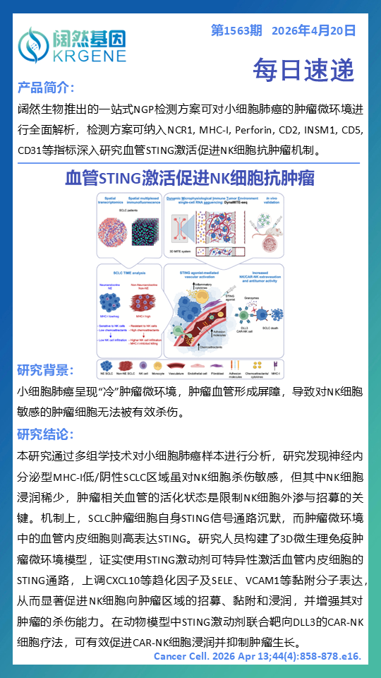 十大滚球体育app
