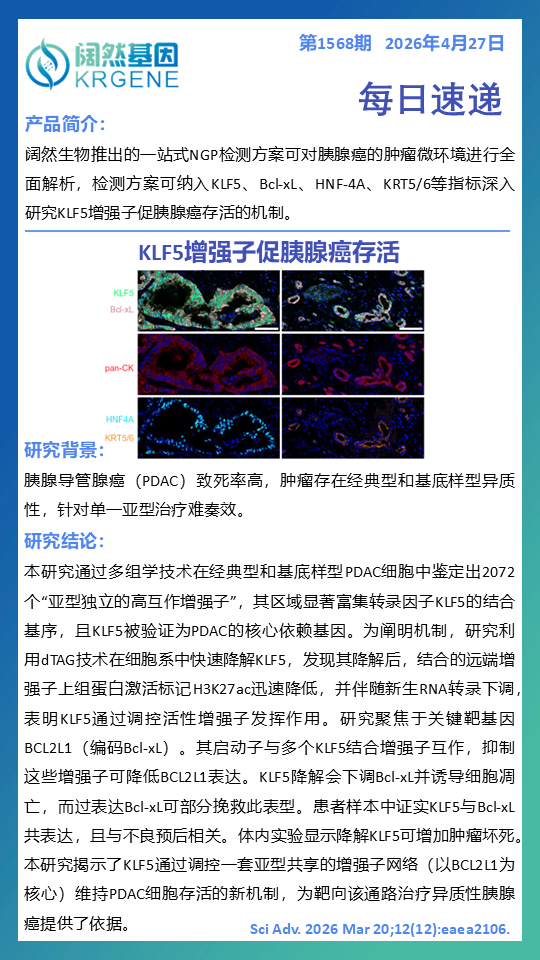 十大滚球体育app