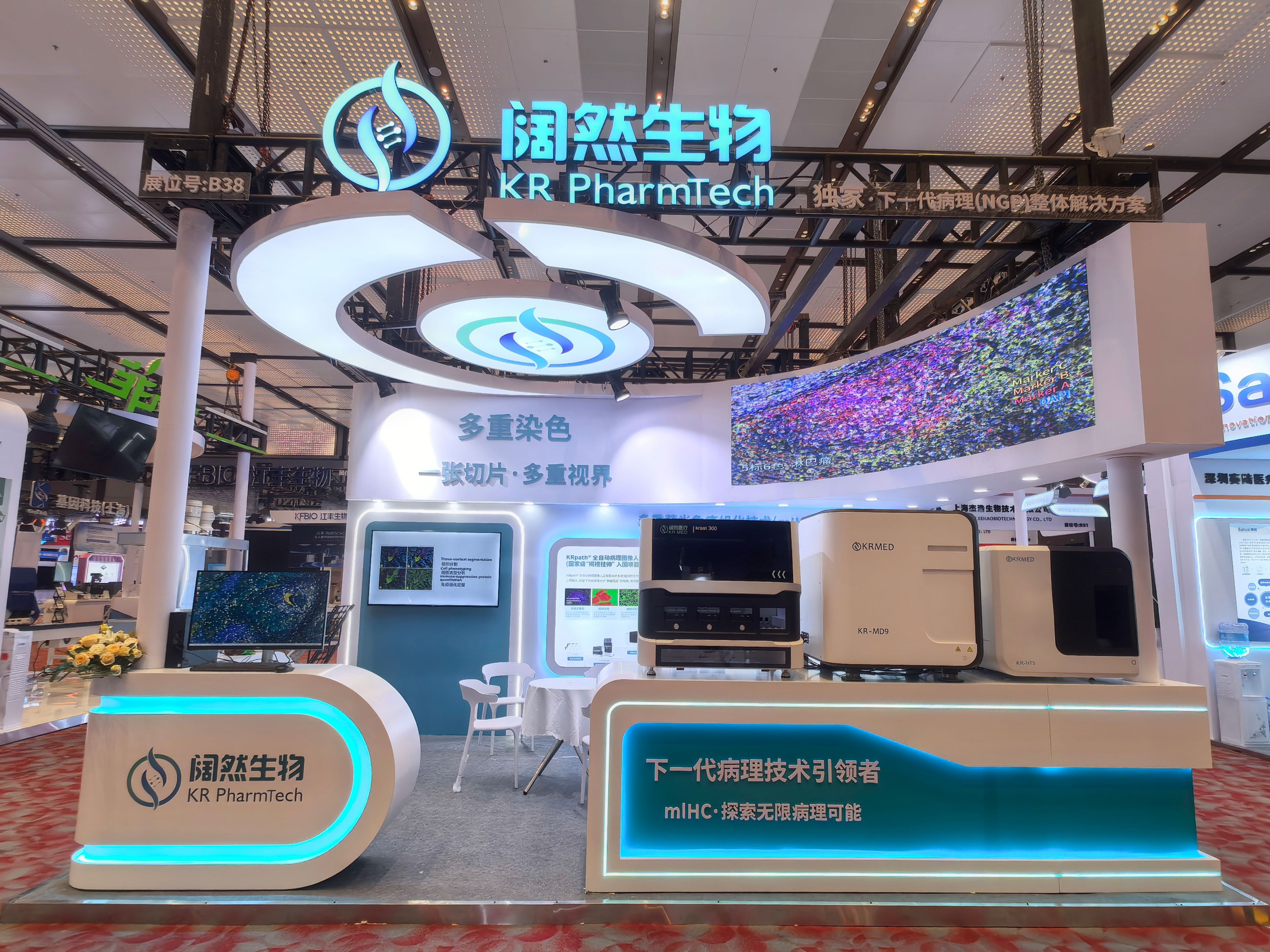 十大滚球体育app