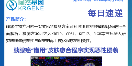 十大滚球体育app
