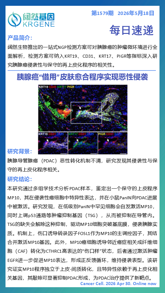十大滚球体育app