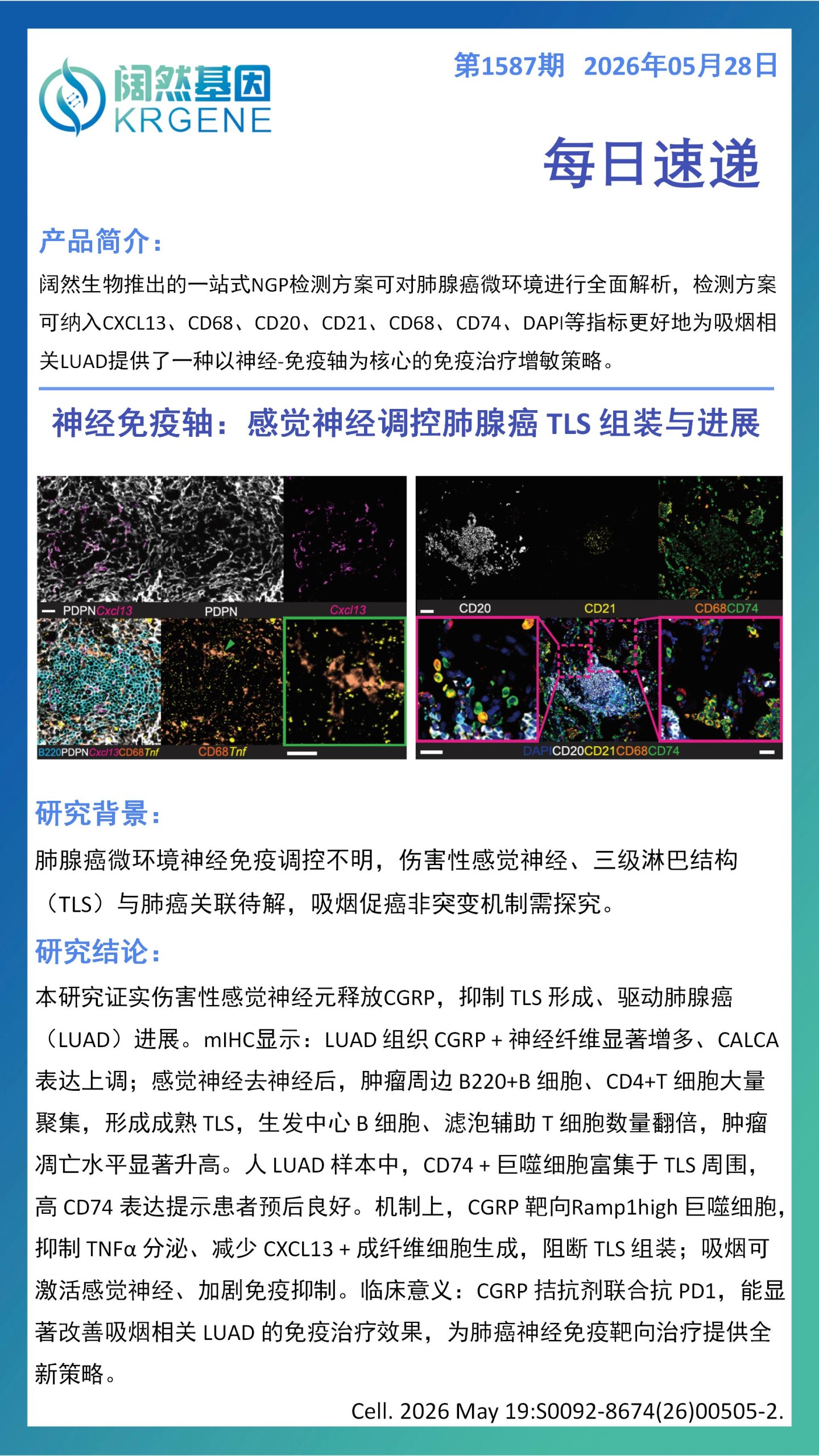 十大滚球体育app