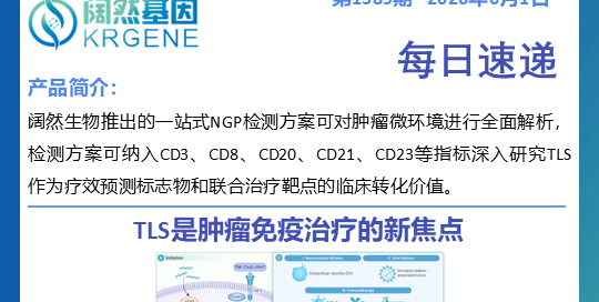 十大滚球体育app