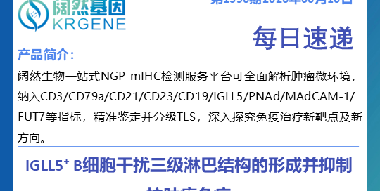 十大滚球体育app