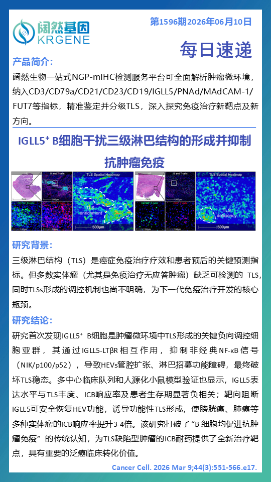 十大滚球体育app