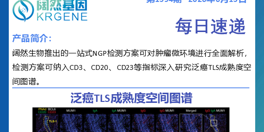 十大滚球体育app