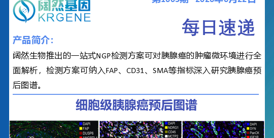 十大滚球体育app