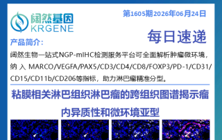 十大滚球体育app