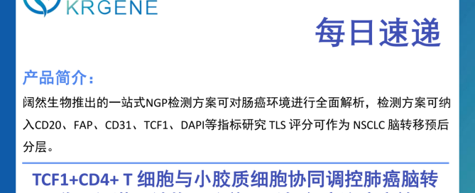 十大滚球体育app