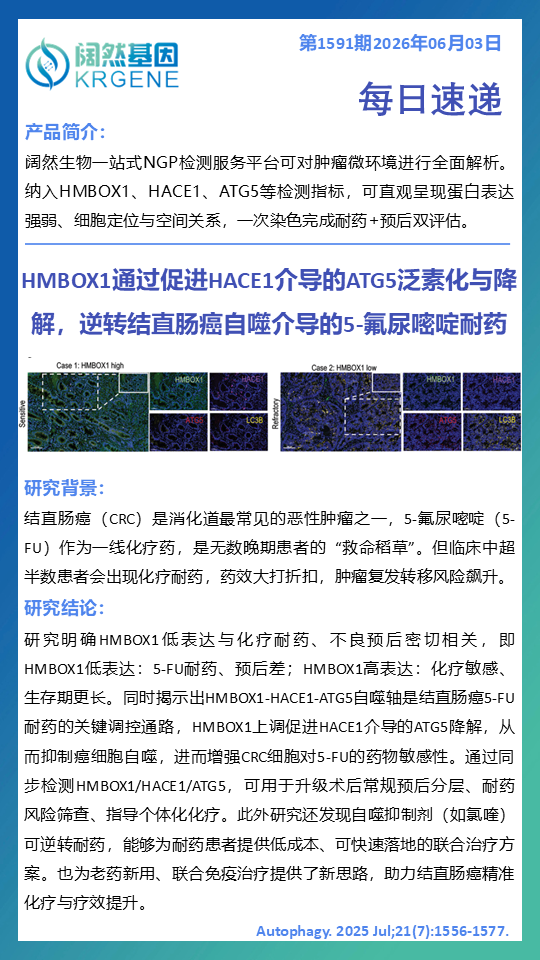 十大滚球体育app