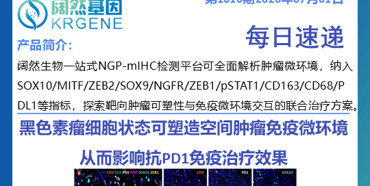 十大滚球体育app