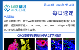 十大滚球体育app