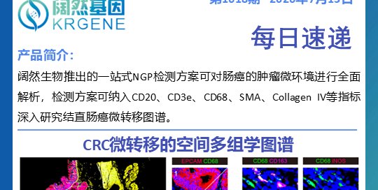 十大滚球体育app