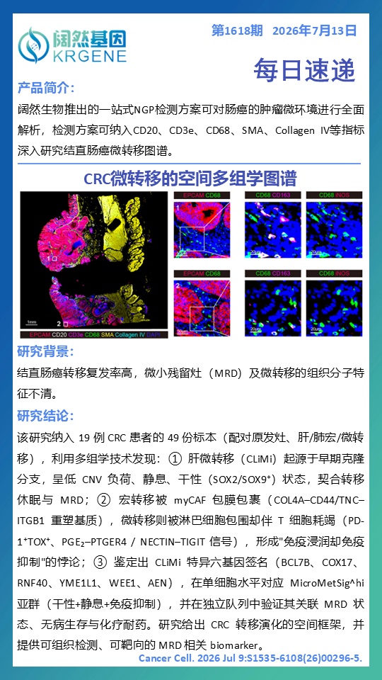 十大滚球体育app