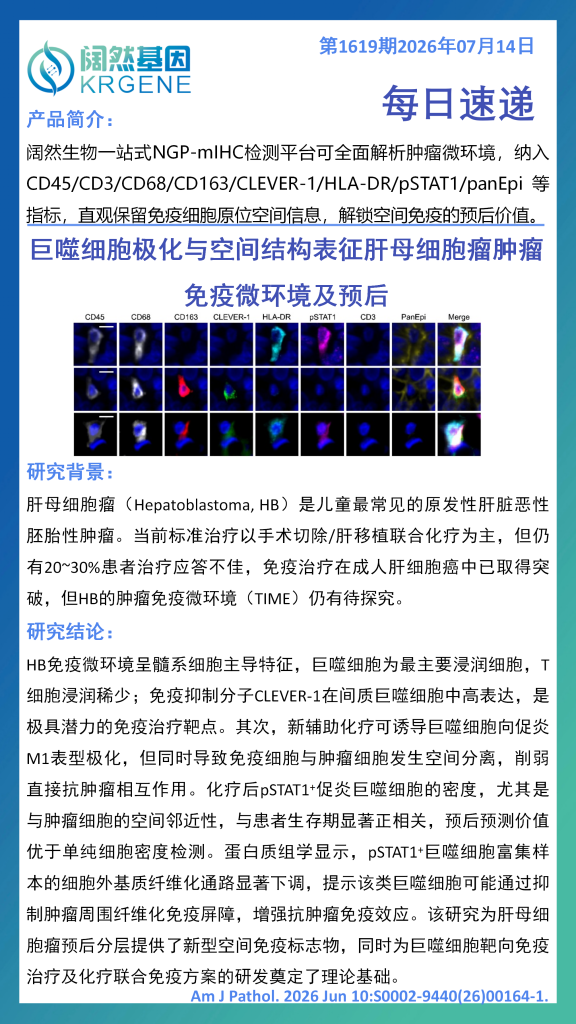 十大滚球体育app