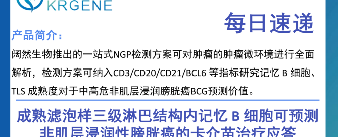 十大滚球体育app