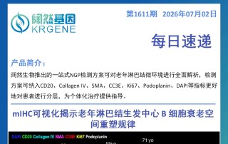 十大滚球体育app