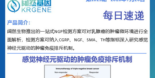 十大滚球体育app