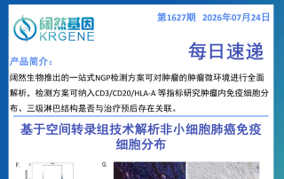 十大滚球体育app