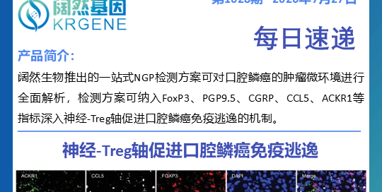 十大滚球体育app