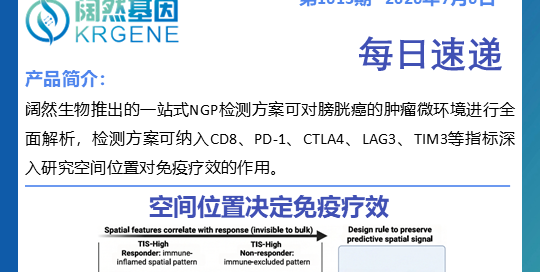 十大滚球体育app