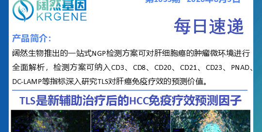 十大滚球体育app
