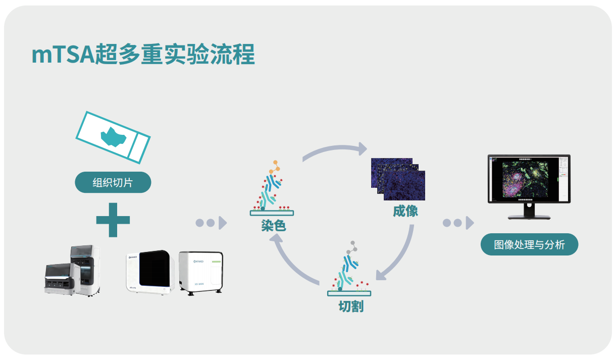 f44ccbc6-31ce-4609-a43b-99d9f5d87636