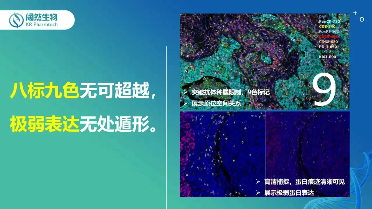 十大滚球体育app