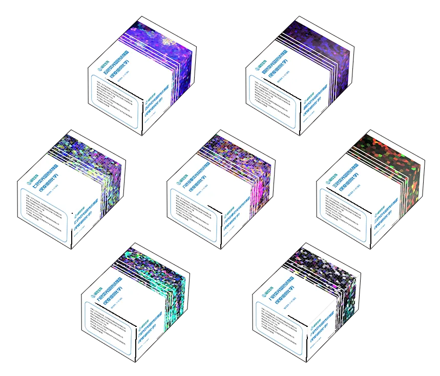 十大滚球体育app