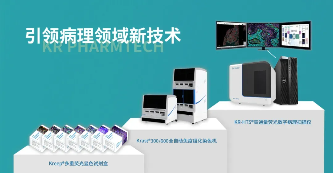 十大滚球体育app